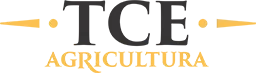 Logo TCE 3 Brazi